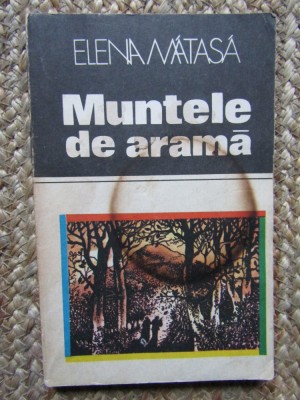 MUNTELE DE ARAMA-ELENA MATASA foto