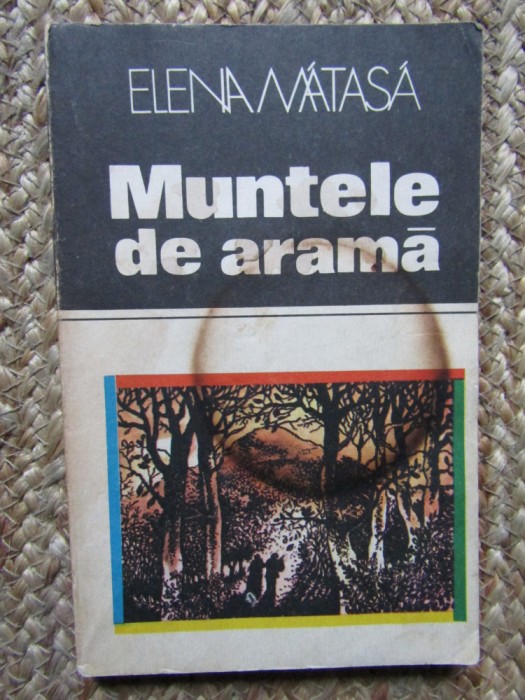 MUNTELE DE ARAMA-ELENA MATASA