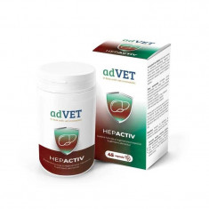 Hepactiv, supliment alimentar, 45 capsule