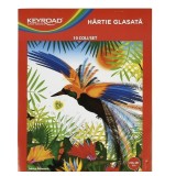 Hartie glasata A4,10 coli set