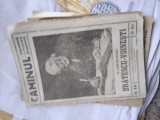Caminul Bratescu Voinesti Editura Stintifica