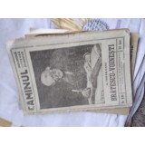 Caminul Bratescu Voinesti Editura Stintifica