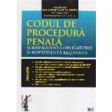 Codul de procedura penala. Jurisprudenta obligatorie. Jurisprudenta relevanta