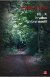 Felix in valea umbrei mortii - Vasile Radu