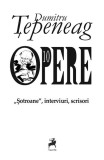 Opere 10: &bdquo;Șotroane&rdquo;, interviuri, scrisori - Paperback brosat - Dumitru Țepeneag - Tracus Arte