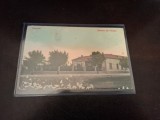 Carte postala , Salutare din Pecica , Arad - Circulata