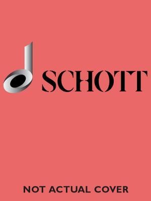 Check-Up: 20 Basic Studies for Flautists foto