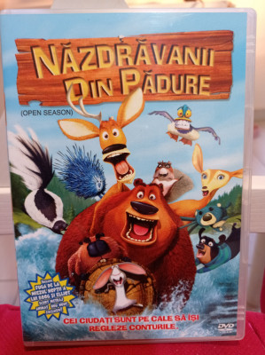 DVD - Nazdravanii din padure - romana foto