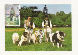 CA8 - Carte Postala -Expo Canina 1982-Ciobanesc carpatin si mioritic,Necirculata