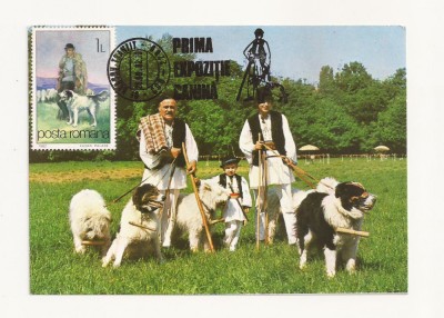 CA8 - Carte Postala -Expo Canina 1982-Ciobanesc carpatin si mioritic,Necirculata foto