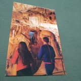 Cumpara ieftin CARTE POSTALA BIHOR-PESTERA URSILOR CHISCAU NECIRCULATA