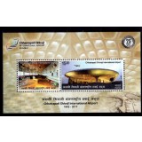 INDIA 2017 AEROPORTUL DIN BOMBAY