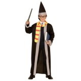 Costum vrajitor