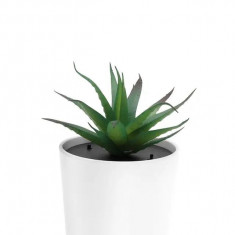 Purificator de Aer, In Forma de Planta Aloe Scobinifolia, pentru Casa/Birou si Masina, Incarcare USB, LED 360 de grade, Silentios, Alb/Verde