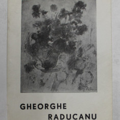 GHEORGHE RADUCANU , CATALOG DE EXPOZITIE , FEBRUARIE - MARTIE , SALA GALERIILOR DE ARTA , 1969