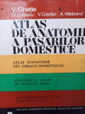 V. Ghetie - Atlas de anatomie a pasarilor domestice (1976)