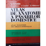 V. Ghetie - Atlas de anatomie a pasarilor domestice (1976)