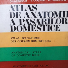 V. Ghetie - Atlas de anatomie a pasarilor domestice (1976)
