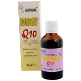 Hofident q10 pt. ingrijirea gurii 50ml, Hofigal