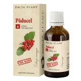 Tinctura Paducel fara alcool, 50ml, Dacia Plant