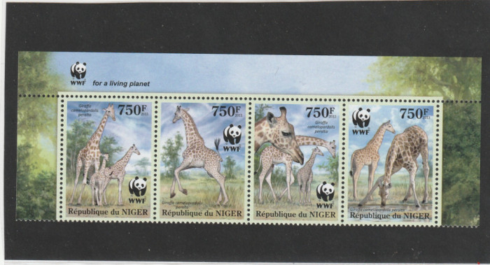 Nigeria 2013-WWF,Fauna,Zebre,serie 4 valori,streif 3 mansete,MNH,Mi.2142-2145