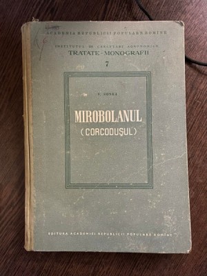 V. Sonea Mirobolanul Corcodusul foto