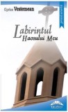 Labirintul haosului meu - Fundatia culturala Ideea Europeana