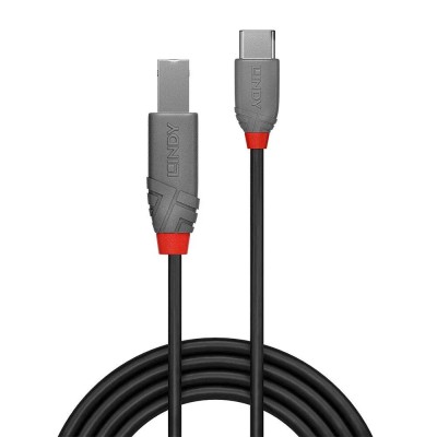 Cablu Lindy 2m USB 2.0 Tip A la Tip B, foto