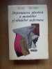 N8 Deformarea plastica a metalelor si aliajelor neferoase - Ioana Groza