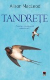 Tandrețe - Paperback brosat - Alison Macleod - RAO