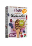 Granola cu afine si merisoare fara gluten, 250g, Avena GoFit