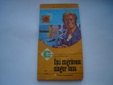 Imi zugravesc singur casa (vol. I) - Luca Gherasim
