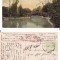 Botosani -Gradina Publica- rara