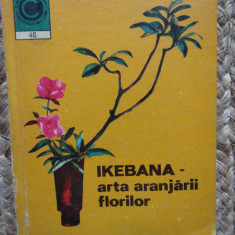 LAURA SIGARTEU PETRINA - IKEBANA, ARTA ARANJARII FLORILOR