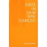 EXISTA UN DRUM SPRE DUMNEZEU-ANTON SCHULTE-265898