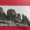 CARTE POSTALA - RSR - MUNTII GUTAI - CREASTA COCOSULUI