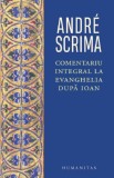 Comentariu integral la Evanghelia dupa Ioan - Andre Scrima