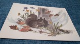 CARTE POSTALA -FELICITARE NECIRCULATA