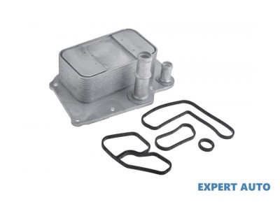 Radiator racire ulei Ssang Yong ACTYON (2012-&amp;gt;) #1 foto