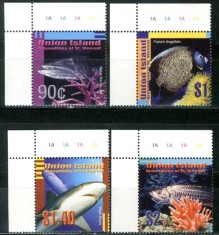 UNION ISLAND 2003 FAUNA MARINA PESTI foto