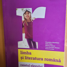 LIMBA SI LITERATURA ROMANA CAIETUL ELEVULUI CLASA A VI A SAMIHAIAN DOBRA ROMAN