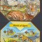 Solomon Islands - TIGRI - BL + KB - MNH