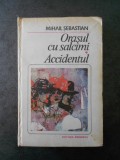 MIHAIL SEBASTIAN - ORASUL CU SALCAMI. ACCIDENTUL