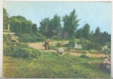 bnk cp Iasi - Gradina botanica - Bazin cu plante acvatice - necirculata