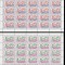 Guinea 1959 - ONU COALA COMPLETA 6v MNH