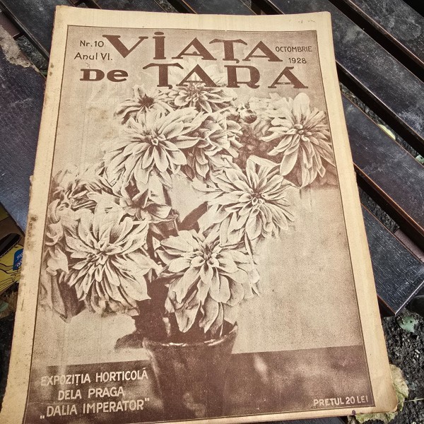 Revsta Viata de Tara Anul VI Nr. 10 / 1928