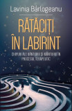 Rătăciți &icirc;n Labirint - Paperback brosat - Lavinia B&acirc;rlogeanu - Herald