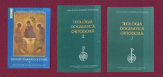 Dumitru Staniloae &amp;quot;Teologia Dogmatica Ortodoxa&amp;quot; vol 1:2003, vol 2-3: 1997 foto