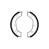 Set saboti frana mana Delphi LS1372, parte montare : Punte Spate