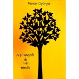 A pillang&oacute;fa &eacute;s m&aacute;s mes&eacute;k - Mester Gy&ouml;rgyi
